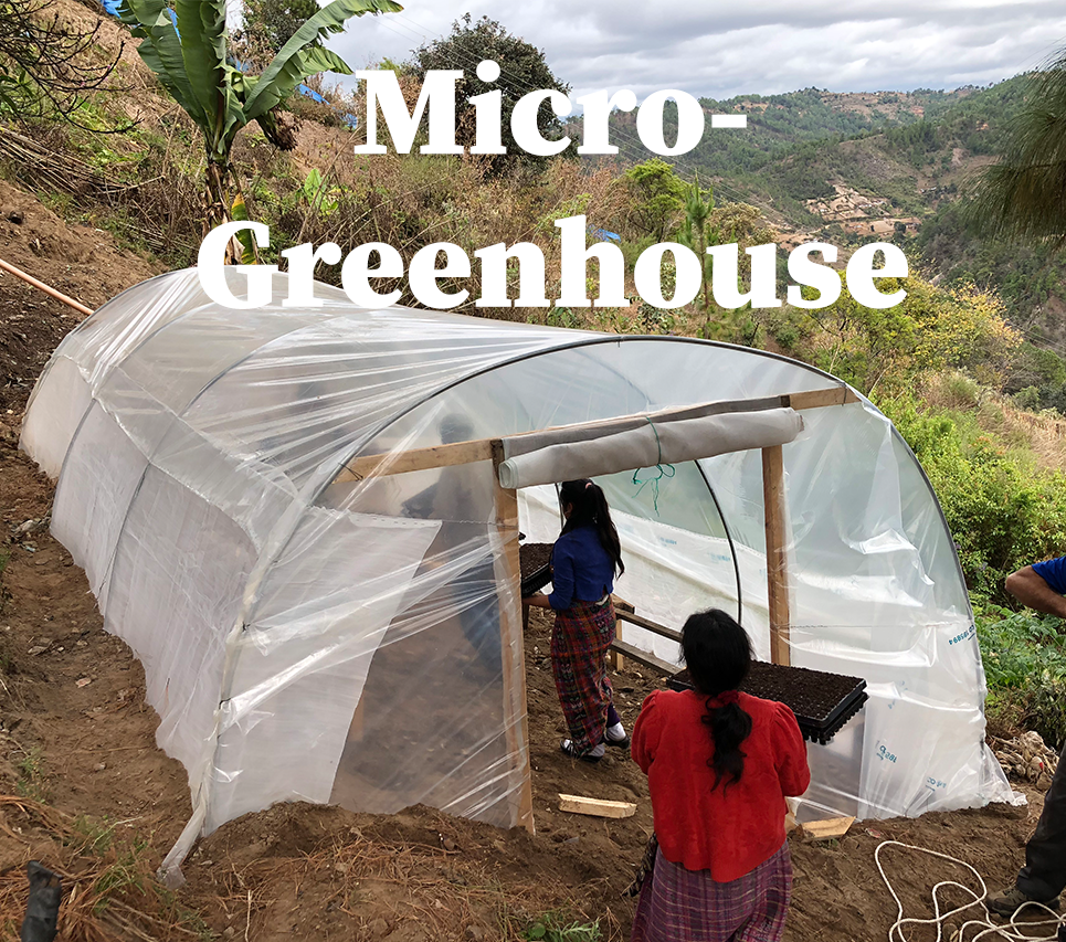 Micro Greenhouse